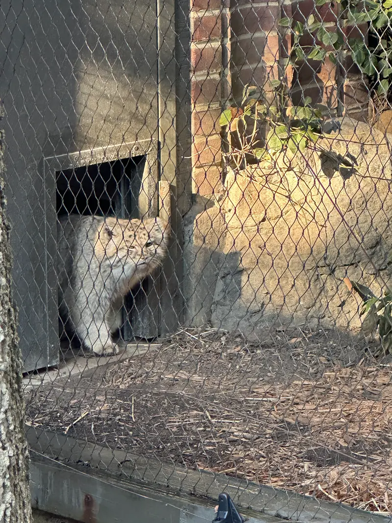 プロスペクト・パーク動物園のバトゥの写真