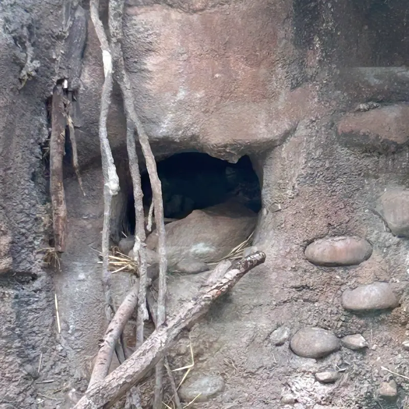 ユタズ・ホグル動物園のフィラリスの写真
