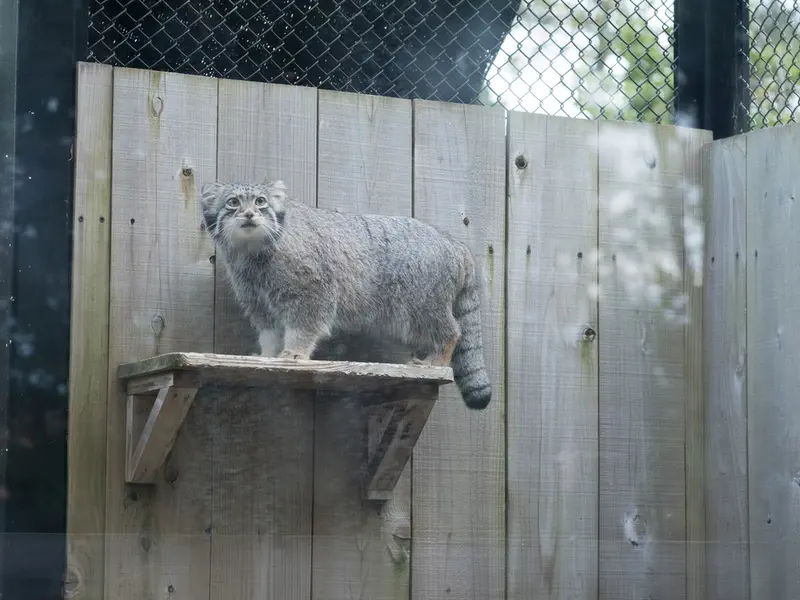 埼玉県こども動物自然公園のオトの写真