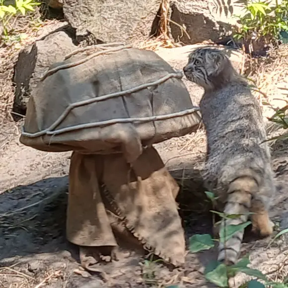 ブダペスト動物園＆植物園のボリス Ⅱの写真