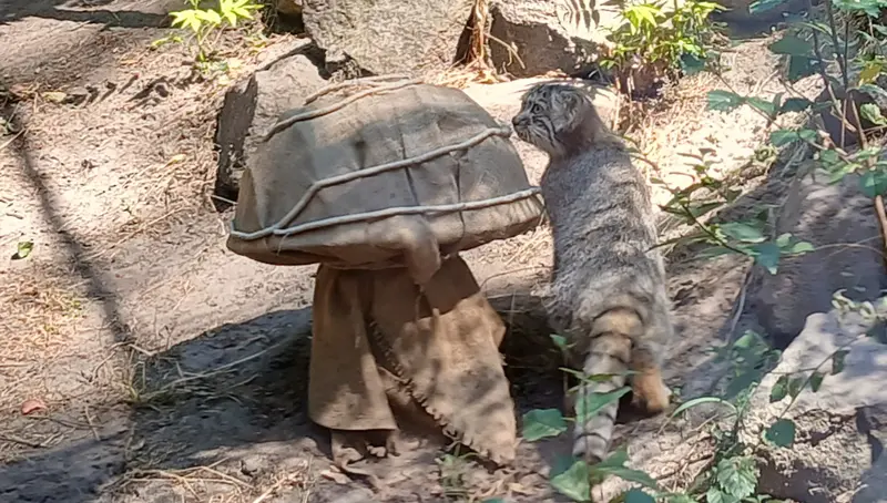 ブダペスト動物園＆植物園のボリス Ⅱの写真