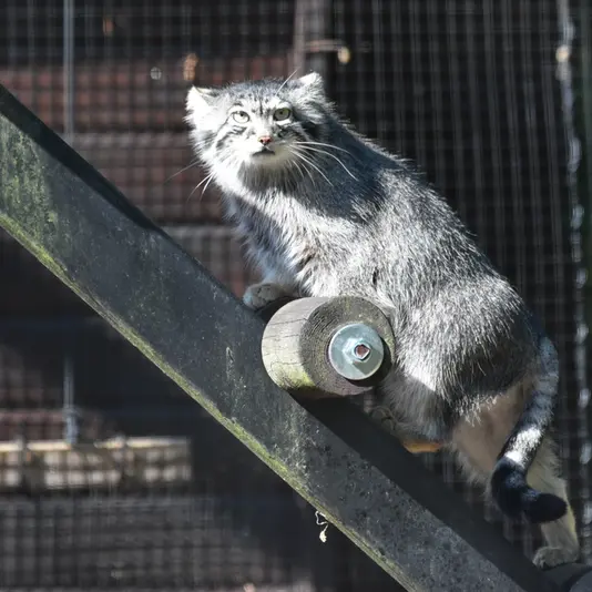 グダニスク動物園のウラの写真