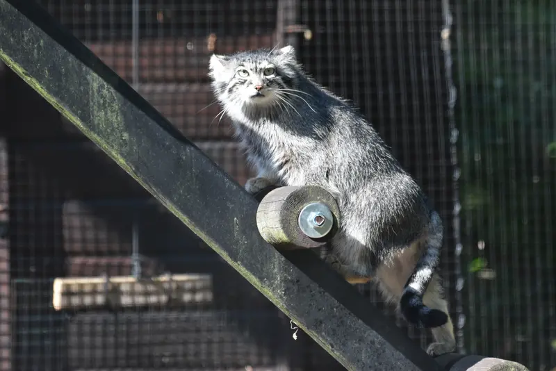グダニスク動物園のウラの写真
