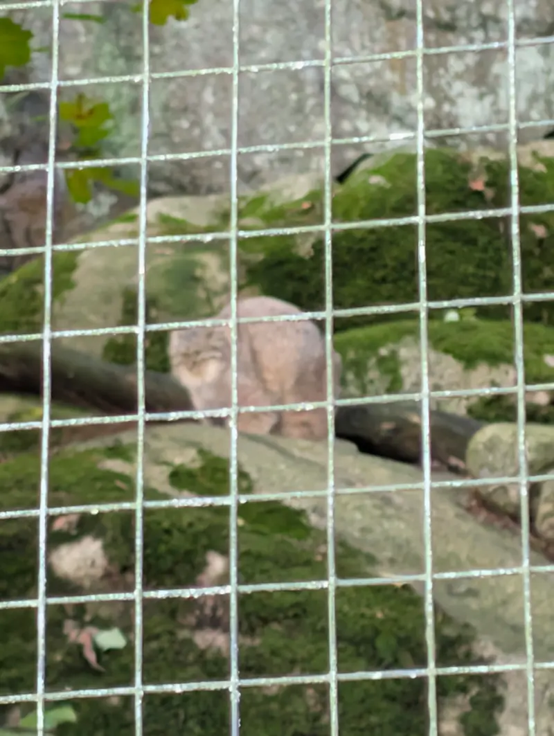 ノルデンス・アークのトゥールーズの写真
