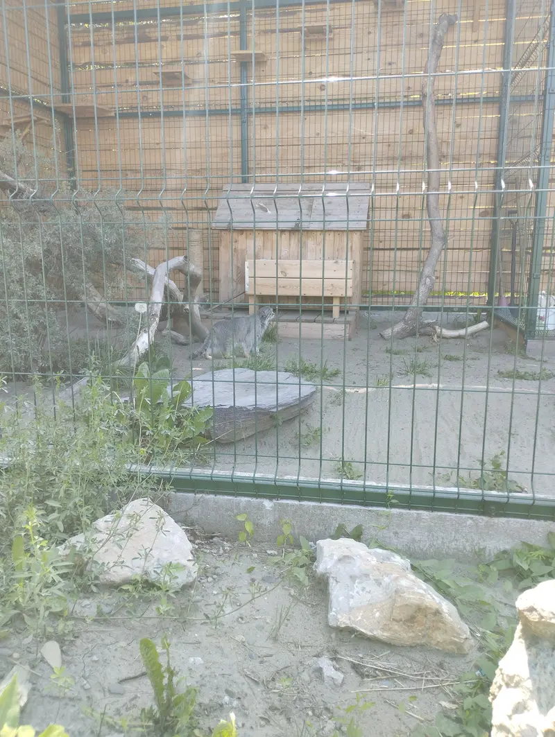 バルナウル動物園「レースナヤ・スカースカ」のペペの写真