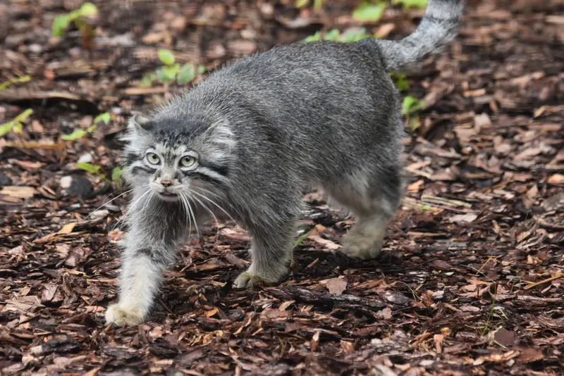 グダニスク動物園のウラの写真