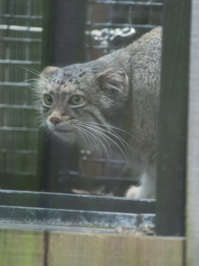 埼玉県こども動物自然公園のオトの写真