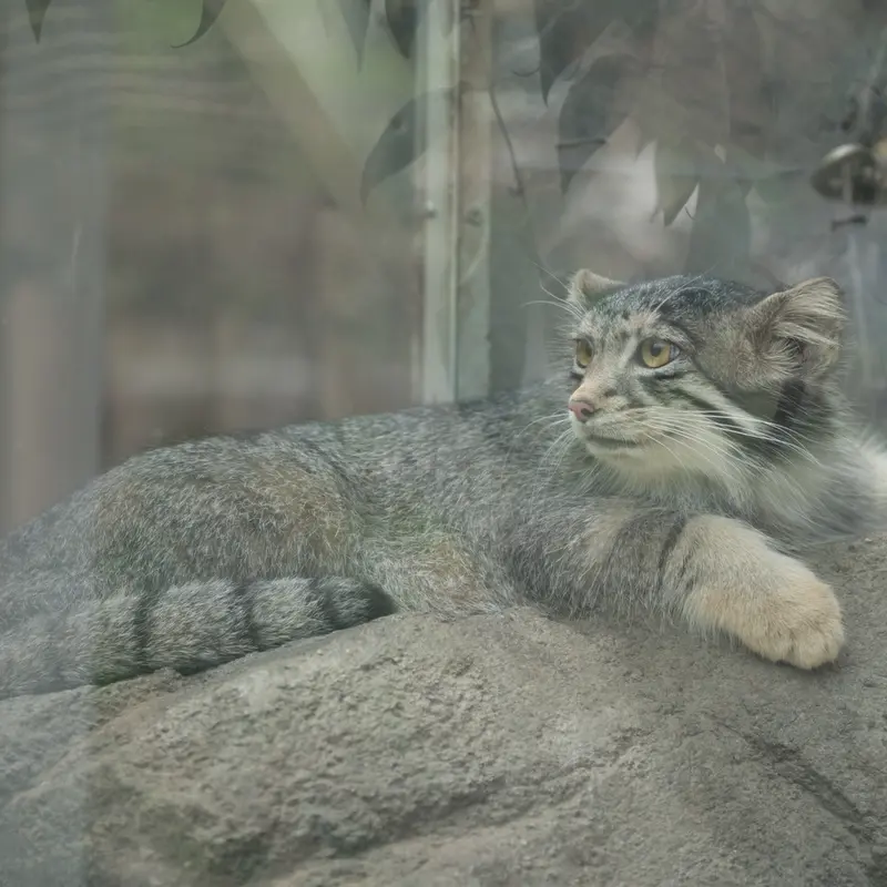 神戸どうぶつ王国のオトの写真