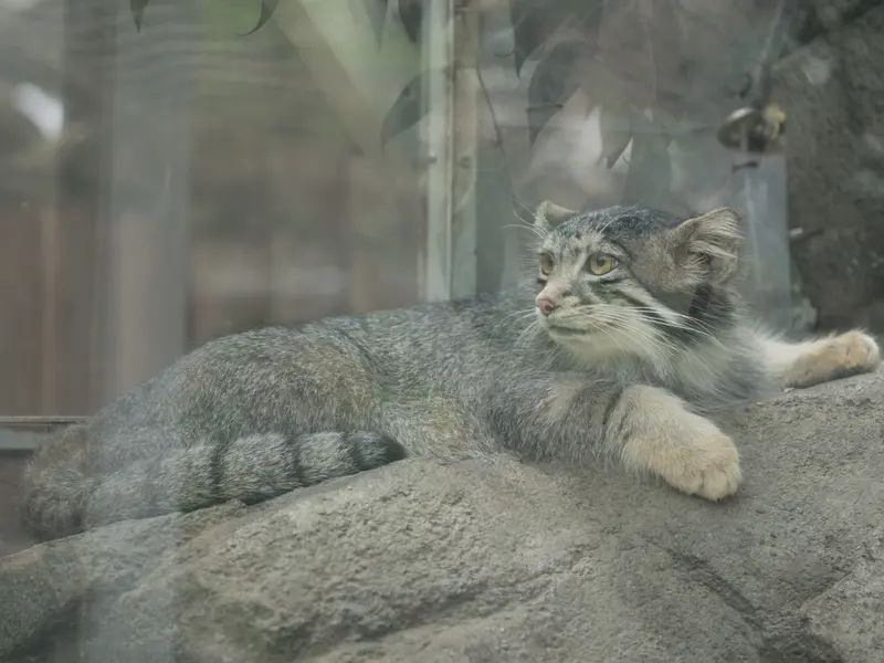 神戸どうぶつ王国のオトの写真
