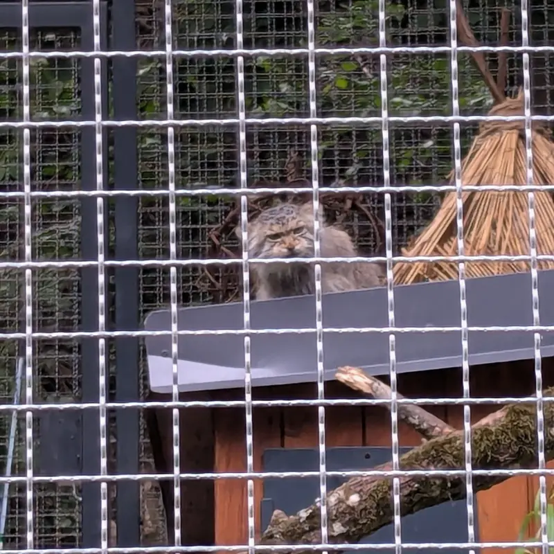 リトアニア動物園のメリッサの写真