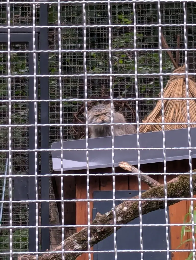 リトアニア動物園のメリッサの写真