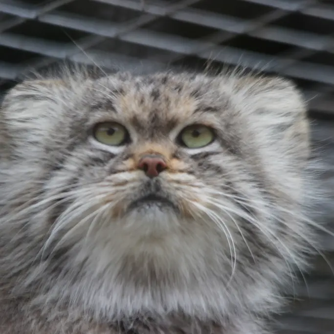 バナム動物園のバックの写真