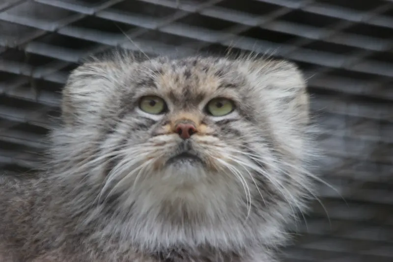 バナム動物園のバックの写真