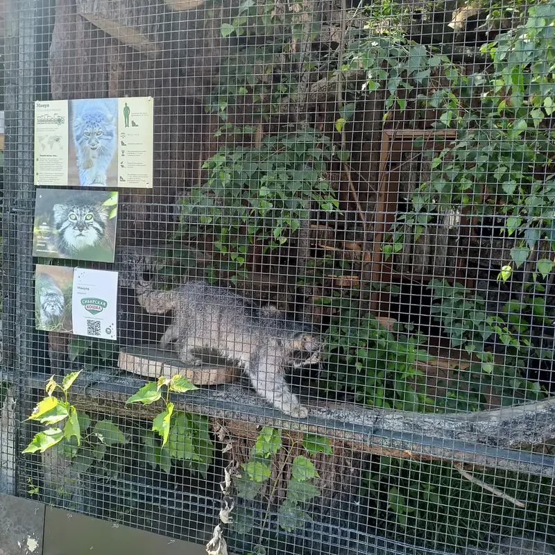 レニングラード動物園のスヴェンの写真