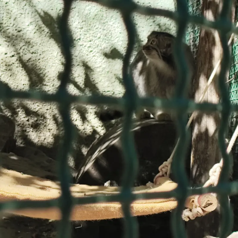 ブダペスト動物園・植物園のルーシーの写真