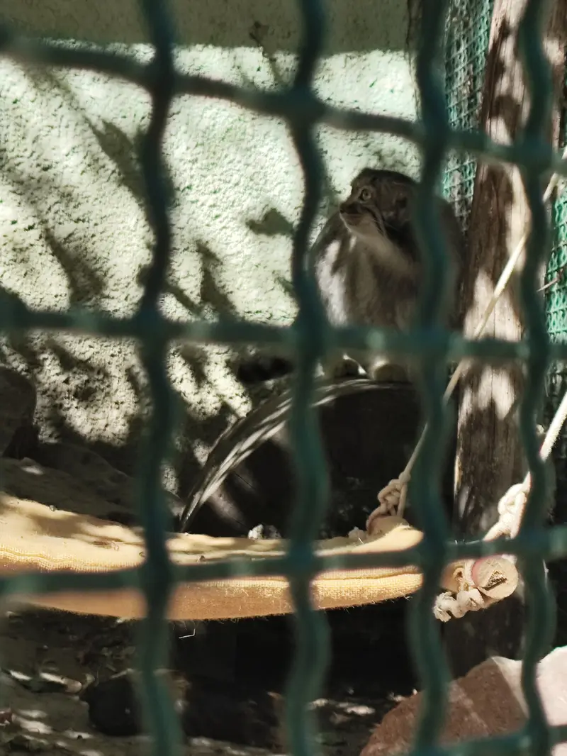 ブダペスト動物園・植物園のルーシーの写真