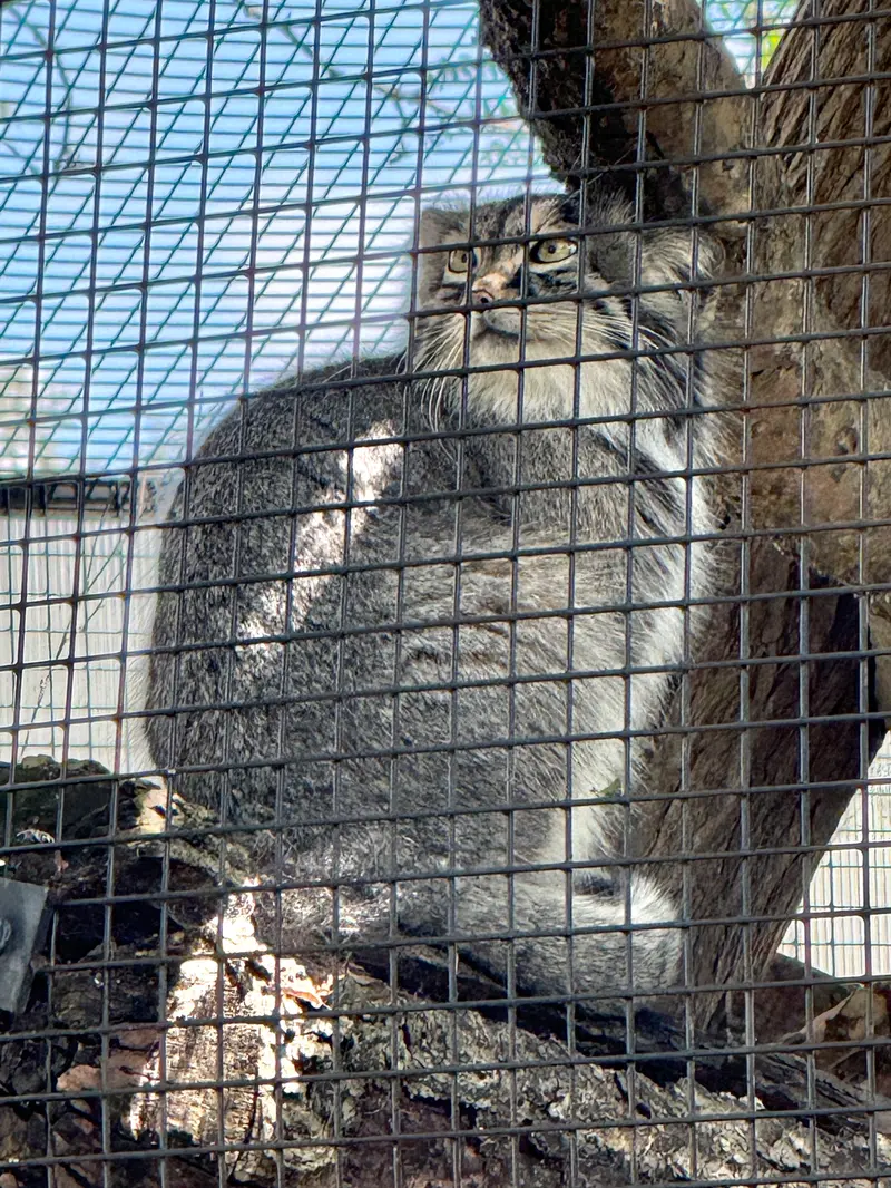 ニアビ動物園のイーヴィーの写真