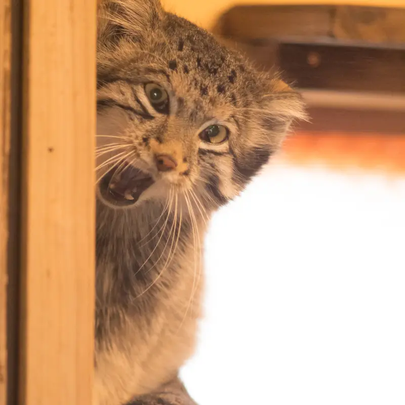 埼玉県こども動物自然公園のオトの写真