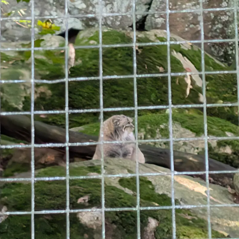 ノルデンス・アークのトゥールーズの写真