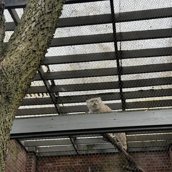 プロスペクト・パーク動物園のバトゥの写真