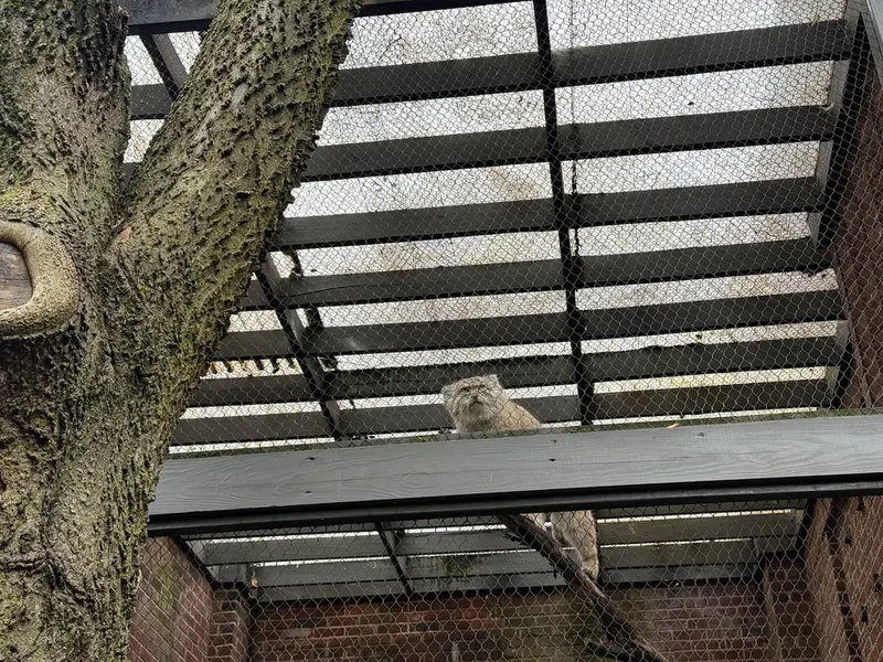 プロスペクト・パーク動物園のバトゥの写真