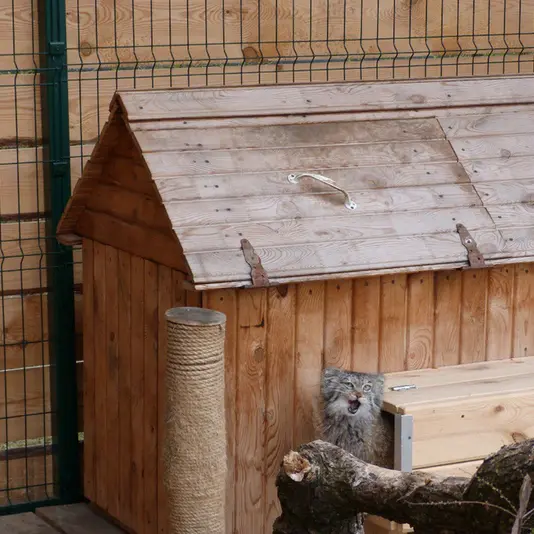 バルナウル動物園「レースナヤ・スカースカ」のペペの写真