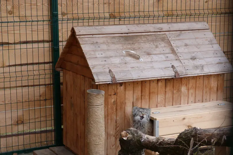 バルナウル動物園「レースナヤ・スカースカ」のペペの写真