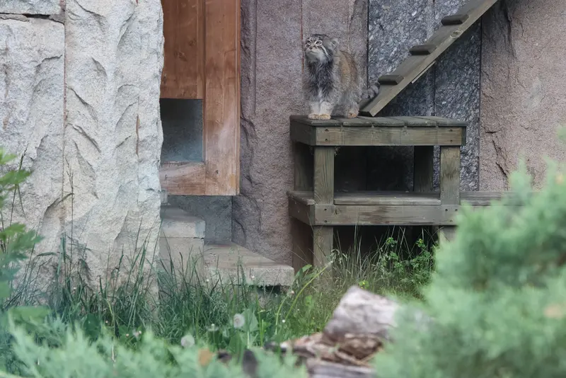 モスクワ動物園のティモフェイの写真