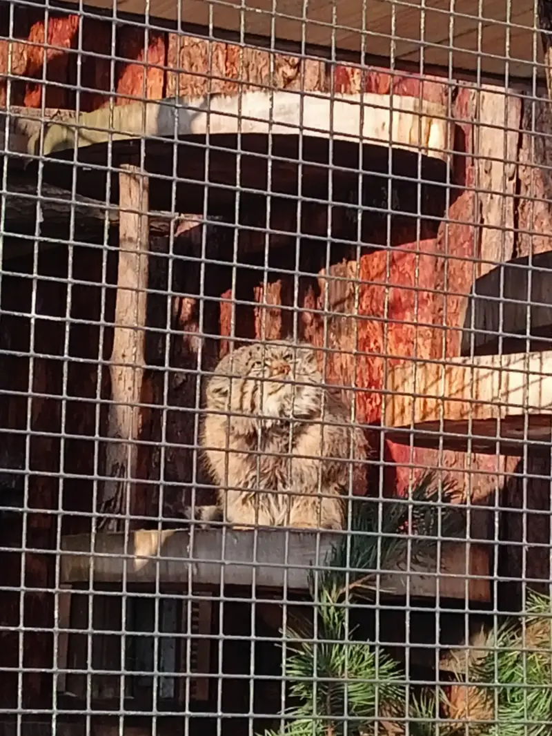 レニングラード動物園のスヴェンの写真