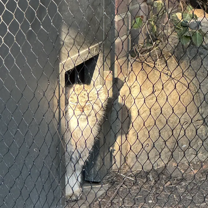 プロスペクト・パーク動物園のバトゥの写真