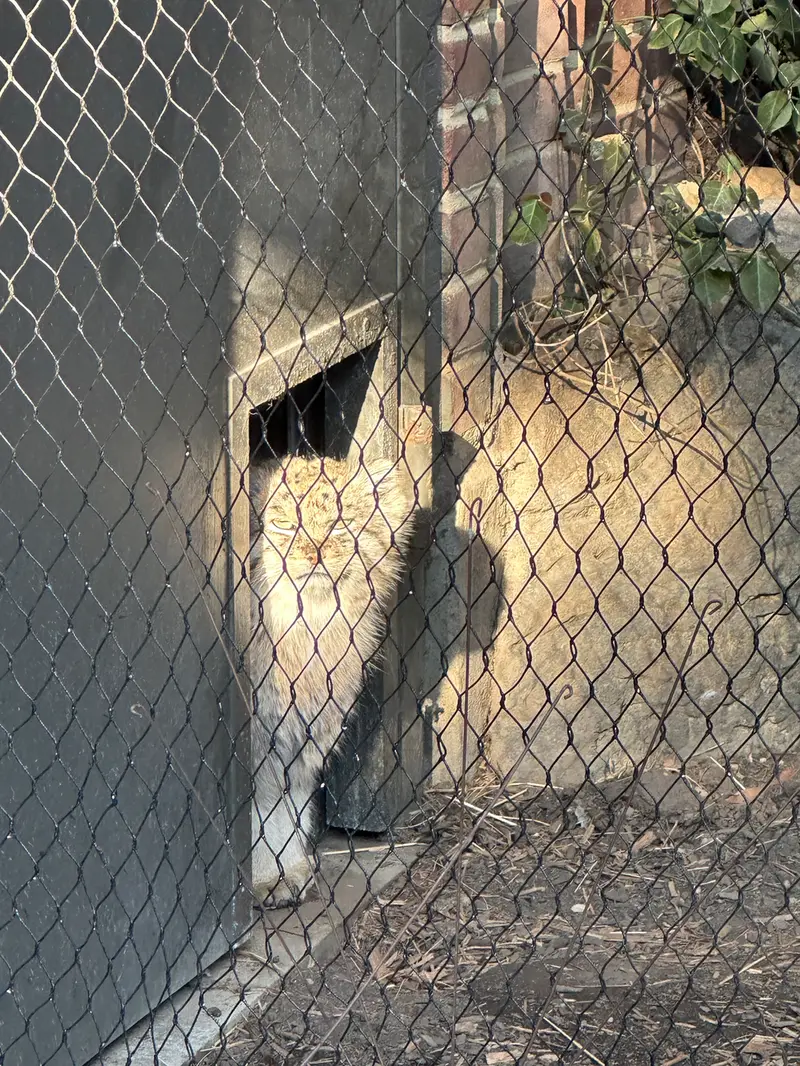 プロスペクト・パーク動物園のバトゥの写真