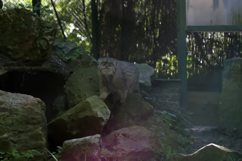ウッチ動物園のパッツォの写真
