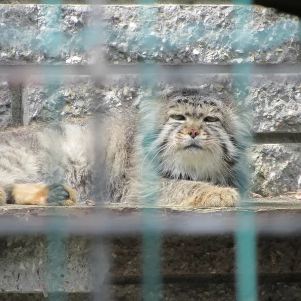 マクデブルク動物園のジョナサンの写真