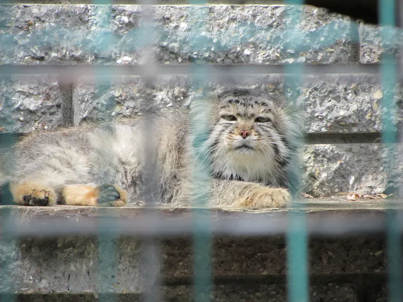 マクデブルク動物園のジョナサンの写真