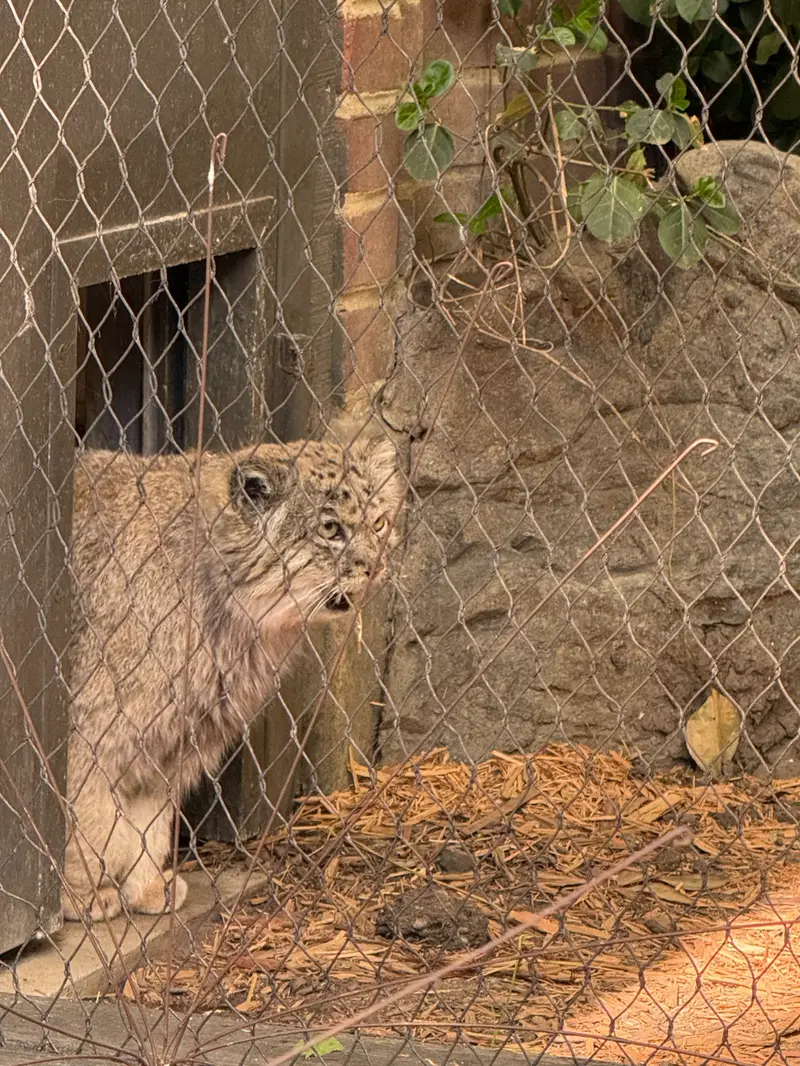 プロスペクト・パーク動物園のバトゥの写真