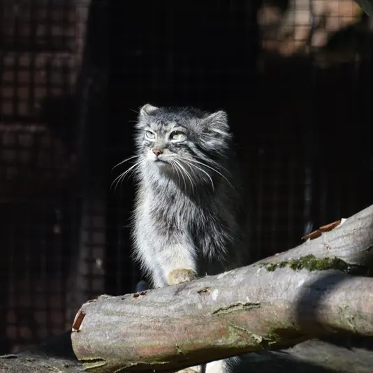グダニスク動物園のウラの写真