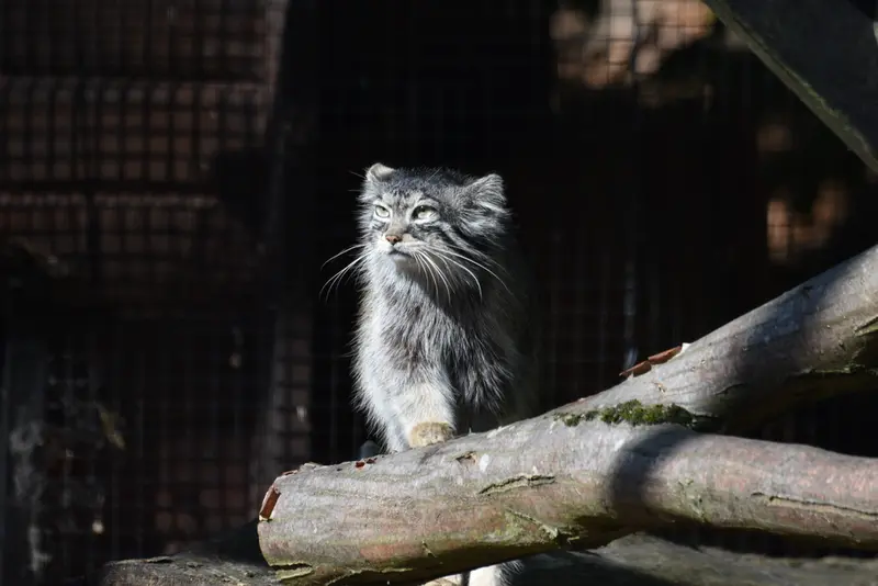 グダニスク動物園のウラの写真