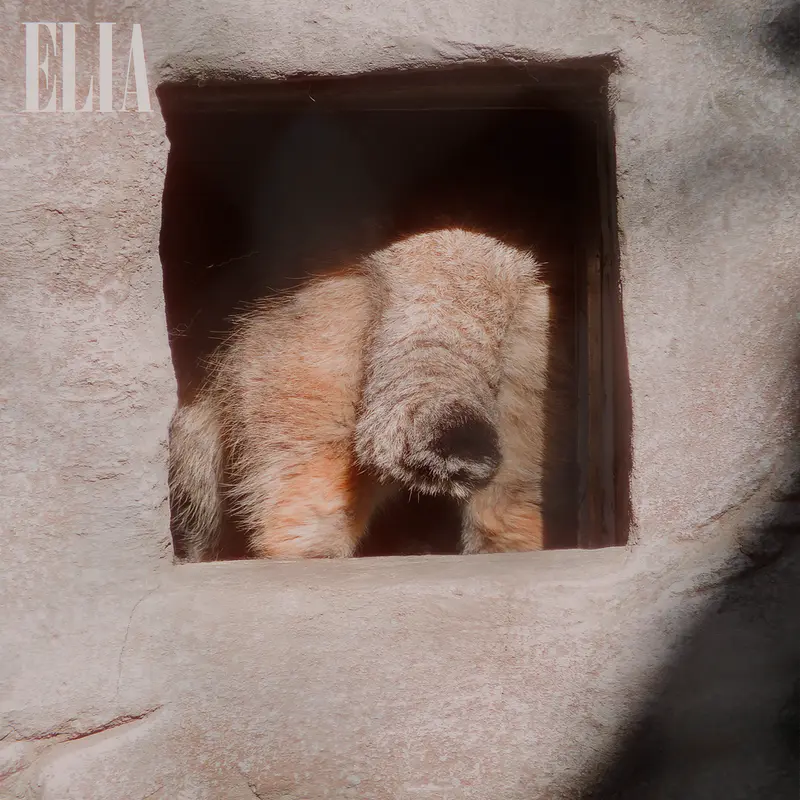 カルガリー動物園 / ワイルダー研究所のオラフの写真