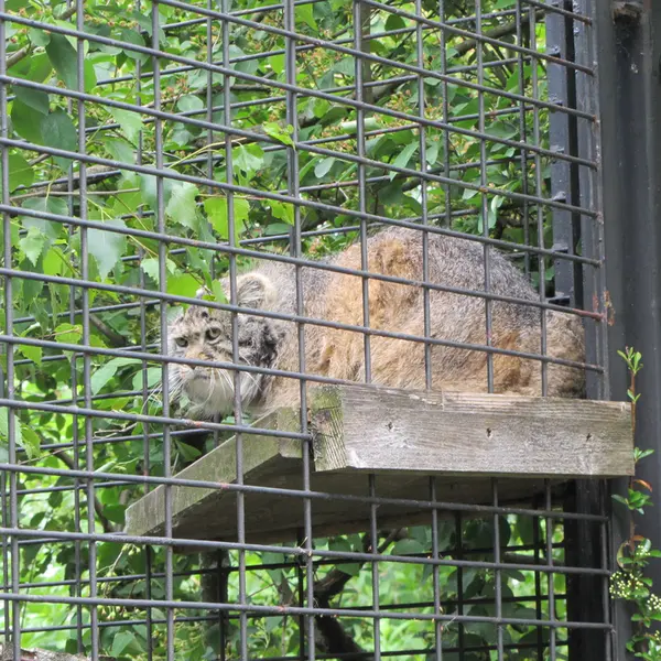 マクデブルク動物園のジョナサンの写真
