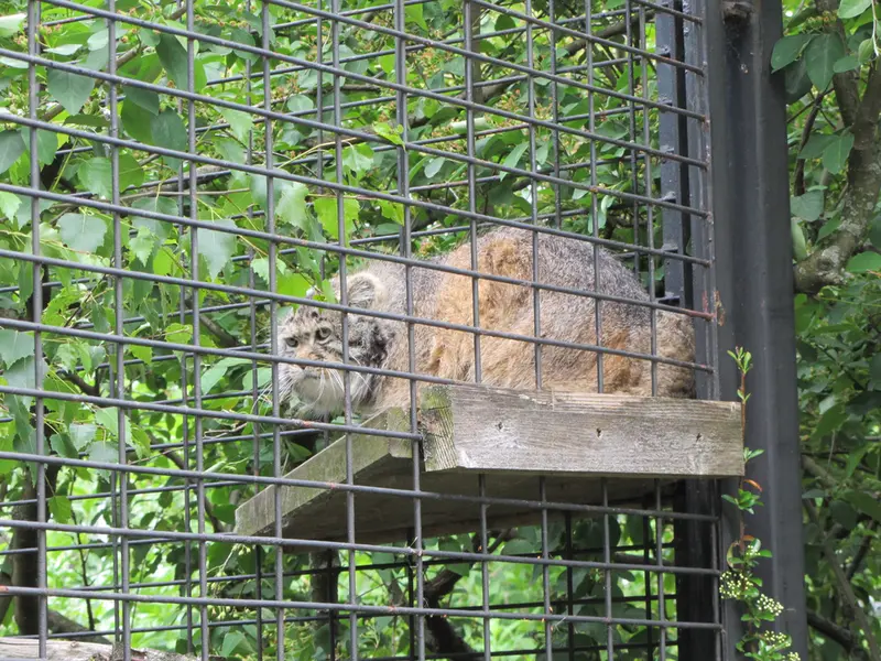 マクデブルク動物園のジョナサンの写真