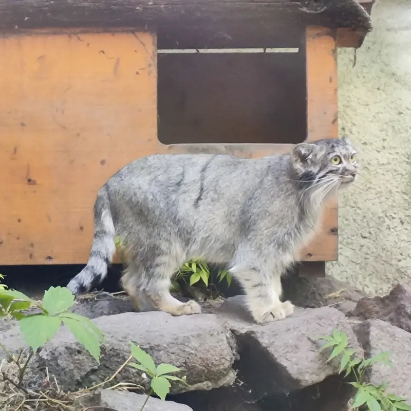 ブダペスト動物園＆植物園のルーシーの写真