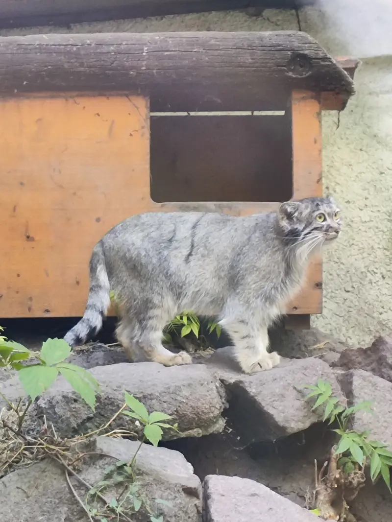 ブダペスト動物園＆植物園のルーシーの写真