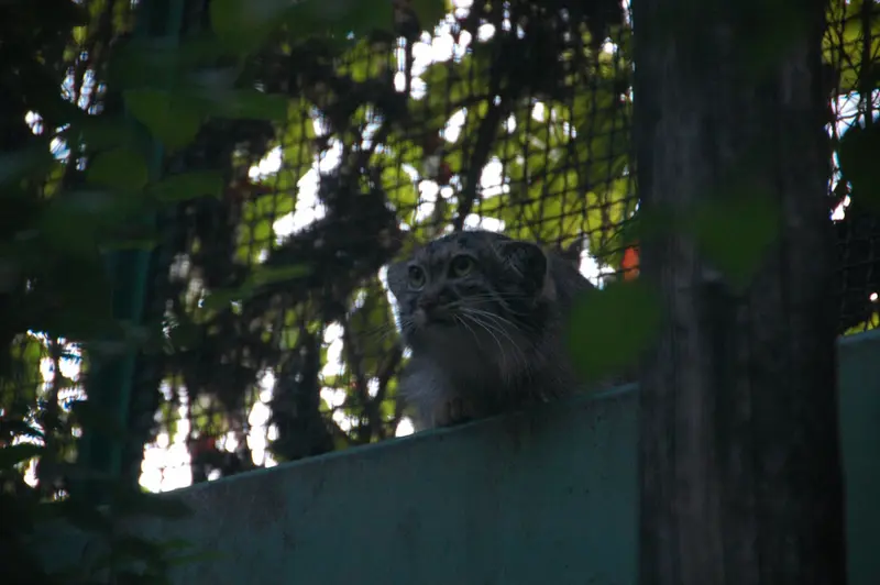 ブダペスト動物園＆植物園のルーシーの写真