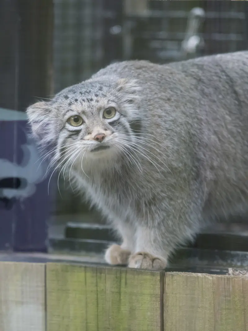 埼玉県こども動物自然公園のオトの写真