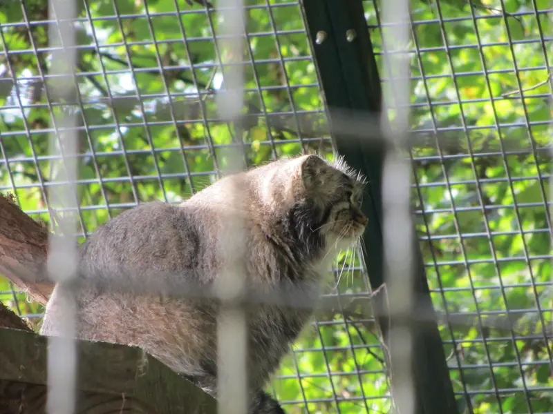 ザールブリュッケン動物園のカール・ハインツの写真