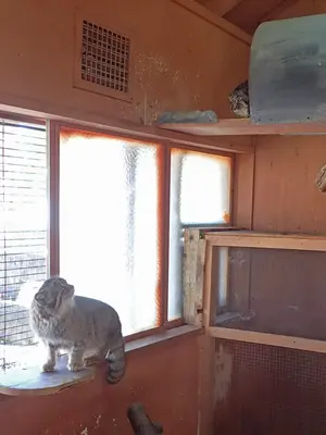 埼玉県こども動物自然公園のタビーとレフの写真