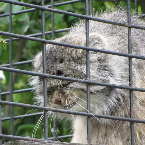 マクデブルク動物園のジョナサンの写真