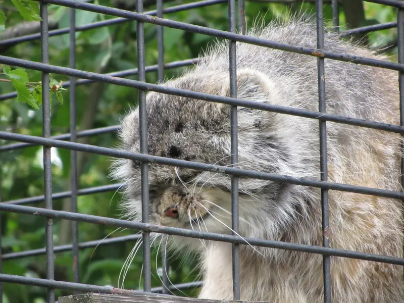 マクデブルク動物園のジョナサンの写真