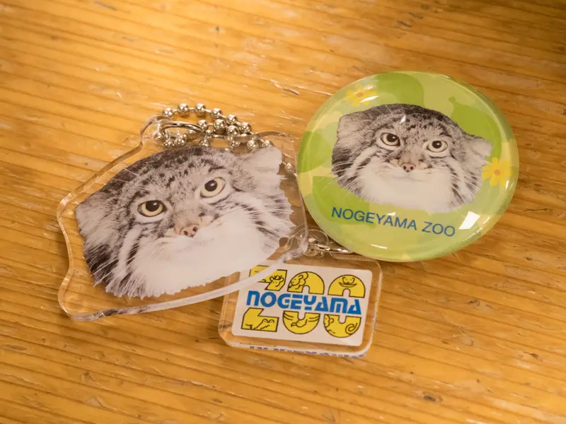 野毛山動物園のフィーガの写真