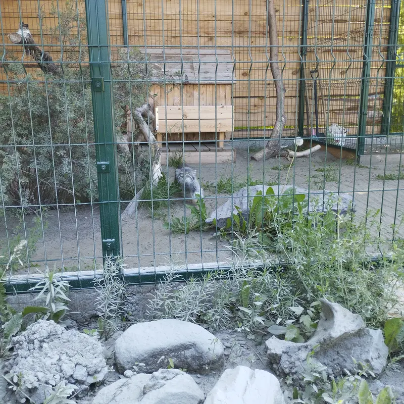 バルナウル動物園「レースナヤ・スカースカ」のペペの写真